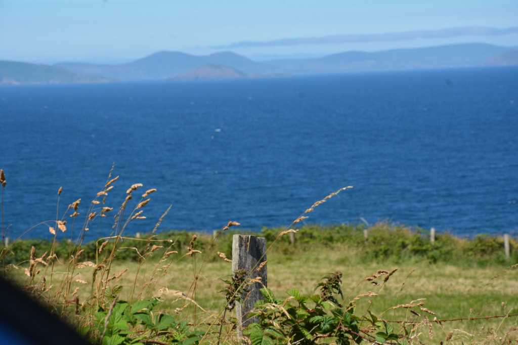 DSC_5019Mittel_.JPG